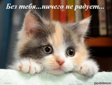 любимый мой родной картинки онлайн любимый мой родной картинки