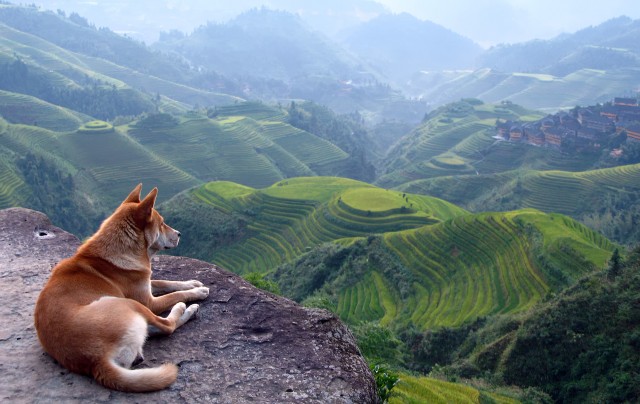    Schöne Orte auf dem Planeten Bei luoghi del pianeta Beautiful places on the planet Hermosos lugares del planeta