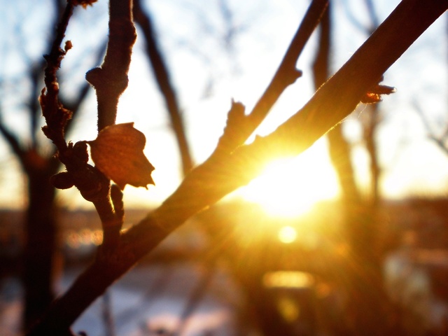 ������� ����